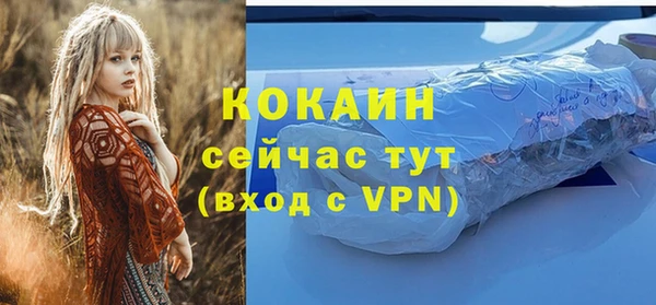 Альфа ПВП Дмитров