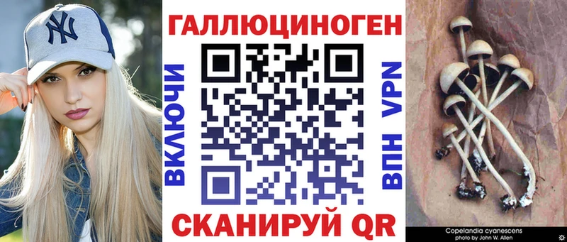 Галлюциногенные грибы Psilocybine cubensis OMG маркетплейс Шиханы дарнет шоп