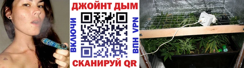 дарнет шоп  Шиханы  Марихуана MAZAR 